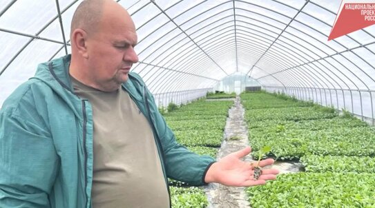 На покупку удобрений хабаровскому сельхозкооперативу предоставили господдержку 