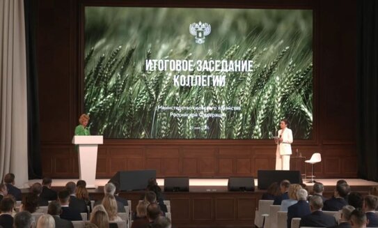 Яровыми к концу мая засеяно 42,3 млн гектаров; темпы сева 2026 приближаются к уровню прошлого года