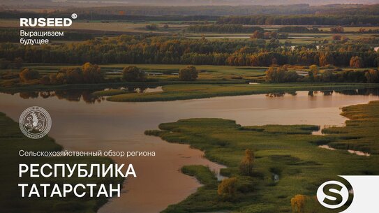 Аналитический центр RUSEED представляет обзор сельского хозяйства Республики Татарстан