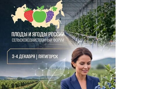 Форум «Плоды и ягоды России — 2026» соберет в Пятигорске представителей плодово-ягодной отрасли