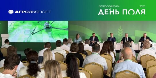 Экспортный потенциал регионов СФО рассмотрели на Всероссийском дне поля-2026 