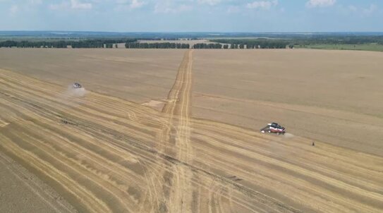 В Башкортостане активно убирают озимую пшеницу со средней урожайностью 45 центнеров с гектара - фото