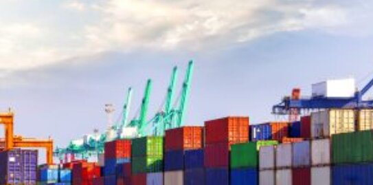 Турция отказалась принимать суда и грузы с продукцией растениеводства без обработки от коричнево-мраморного клопа - фото