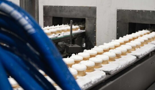 Московская область увеличила экспорт мороженого на 43%