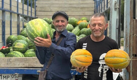 Дагестанские бахчеводы собрали первые 100 тысяч тонн арбузов. Какой сорт самый популярный? - фото