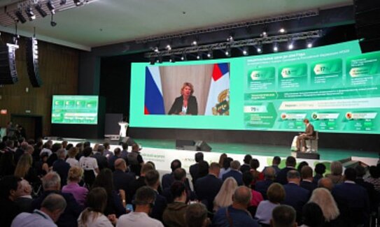 Ввоз семян из-за рубежа в Россию сократился в 5 раз: импортозамещение работает