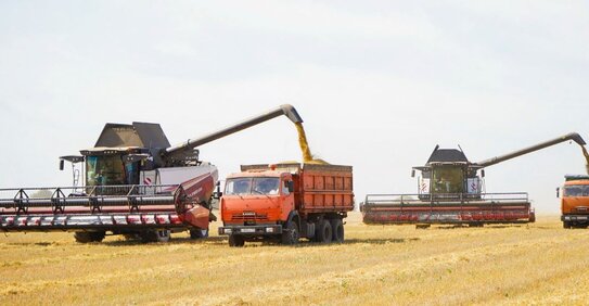 Наибольшая урожайность зерна в Ивановской области пока составляет 32,3 центнера с га