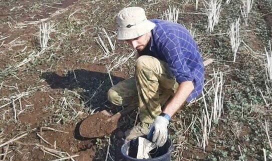45 хозяйств Ставрополья получат агрохимический план повышения плодородия почв