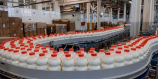 Рекордное количество молочной продукции отправили производители Липецкой области за рубеж в 2026 году - фото