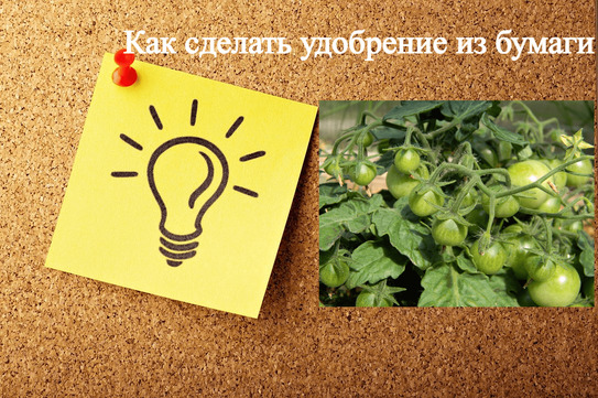 Как сделать удобрение из бумаги - фото