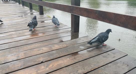 Апрельские дожди понижают градус - когда потеплеет?