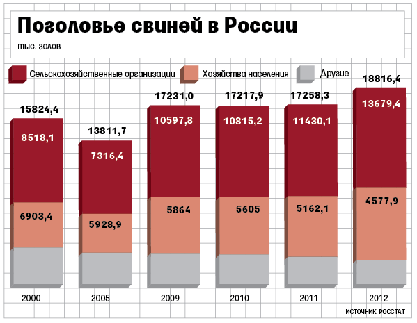 поголовье свиней в России поголовье свиней в России