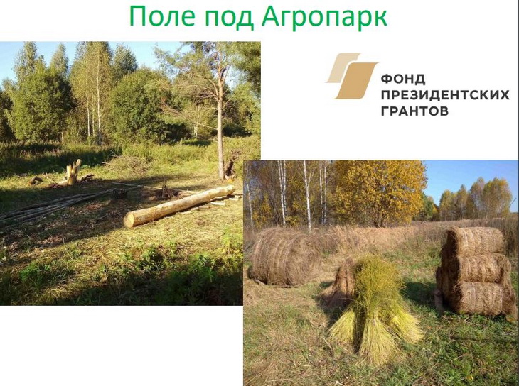 поле под агропарк