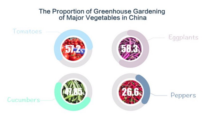 производство овощей в китае
