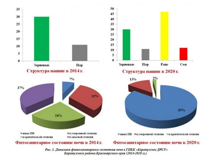 ремонт почвы фитосанитарными культурами