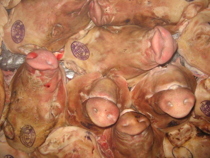 свиные головы