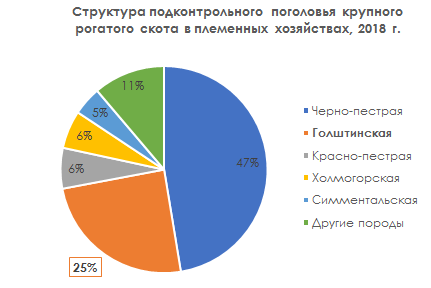 рынок нетелей голштинской породы коров