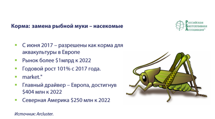 рынок протеинов