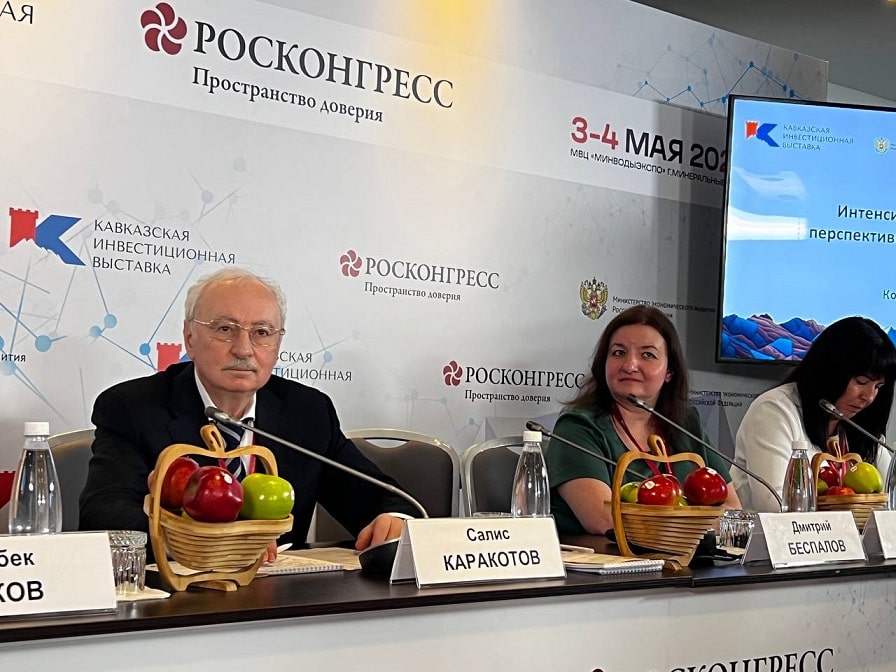 салис каракотов