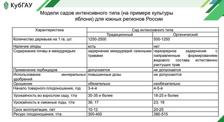 производство органического винограда