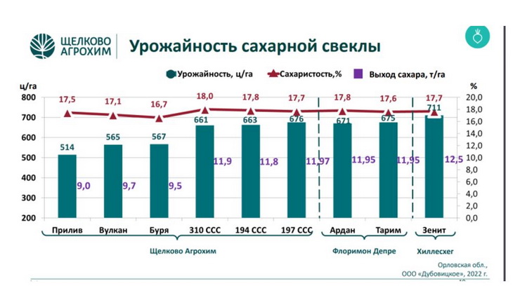 сахарная свекла