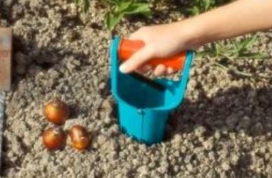 сажалка для луковичных