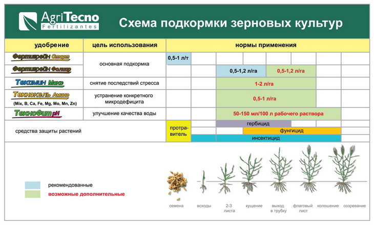 Схема подкормок. Схема защиты пшеницы. Удобрения для зерновых культур. Схема подкормки пшеницы. Схема защиты зерновых культур.