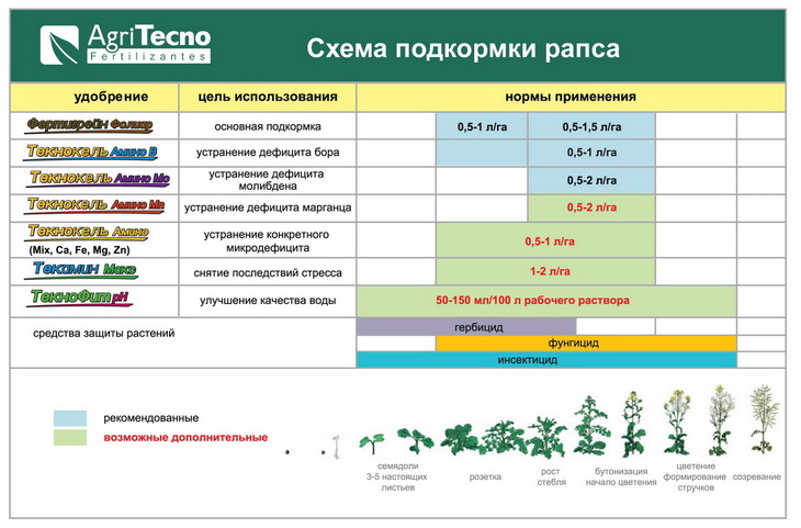 Схема защиты рапса