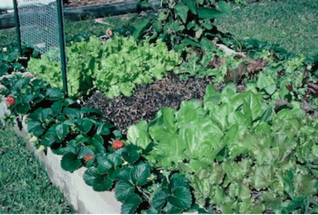 bloques de cemento para fresas