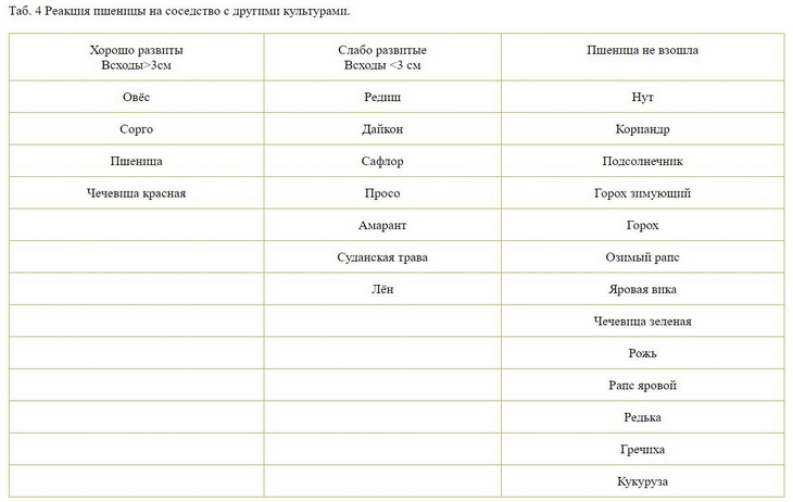 соседи для пшеницы