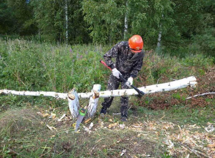 строительство агрошколы как рубашка в поле выросла