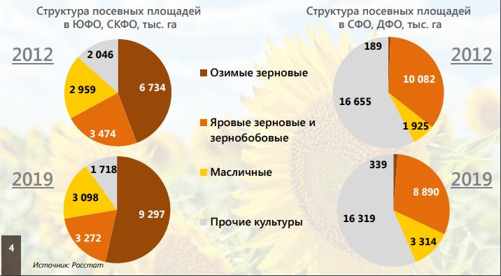 структура посевных площадей в России в 2019 году