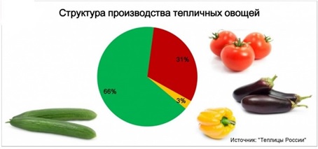 struktura-proizvodstva-teplichnyh-ovosch