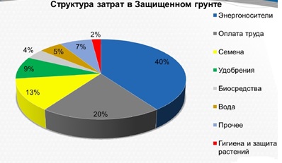 struktura-zatrat-v-zaschischenno-grunte.