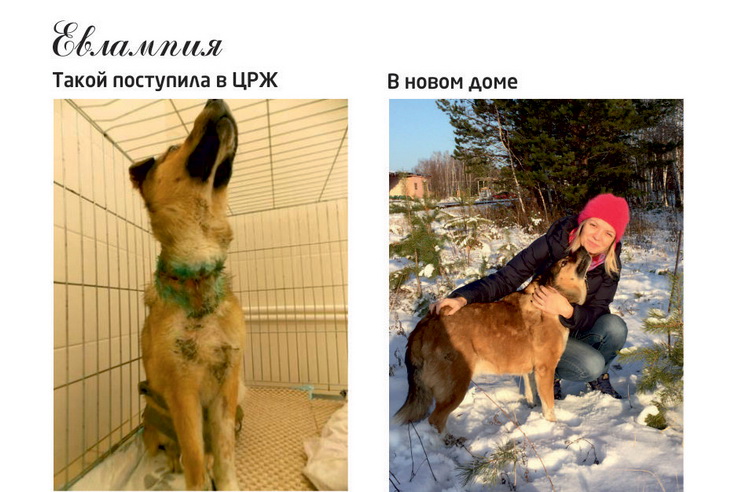 ветеринары УрГАУ