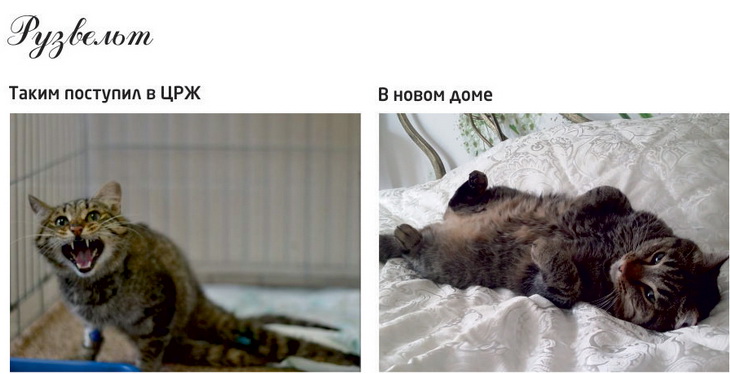 студенты УрГАУ
