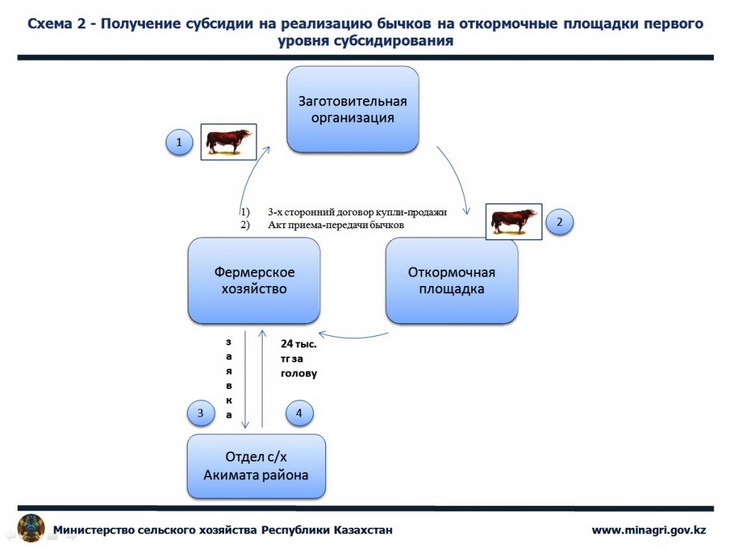 Договор дистрибуции с эксклюзивными правами образец