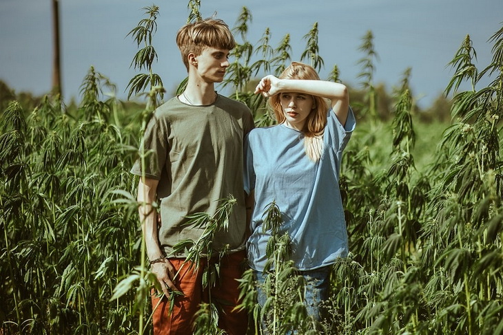техническая конопля