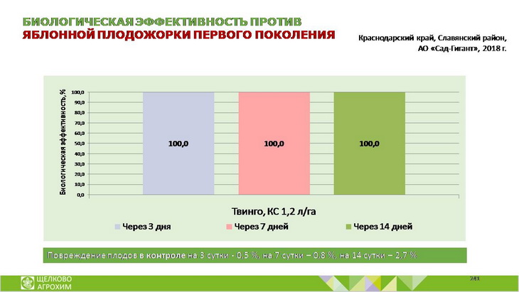 твинго
