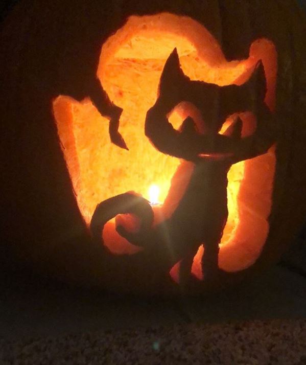 кошачья тыква