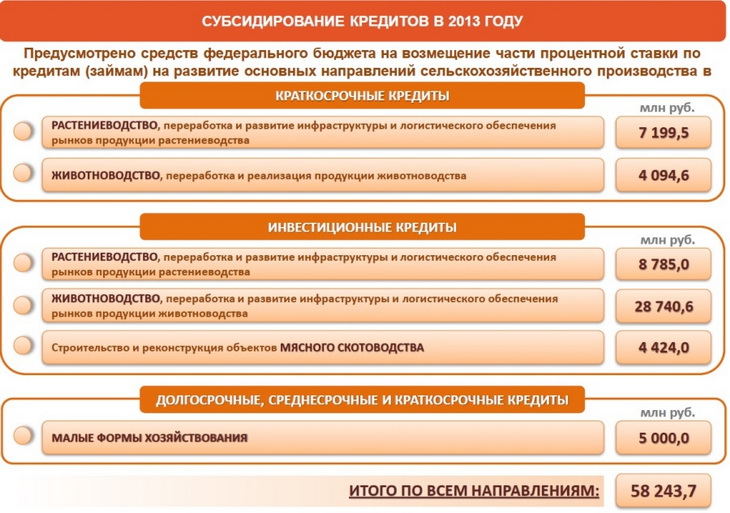 субсидирование кредитов в 2013 году