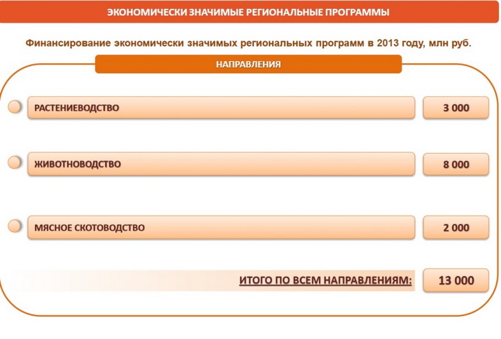 экономически значимые региональные программы