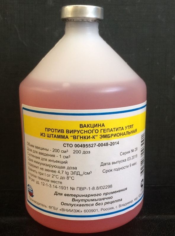 вакцина против вирусного гепатита утят
