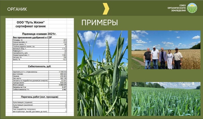 Какой путь выбрать при замене химических средств защиты растений и удобрений