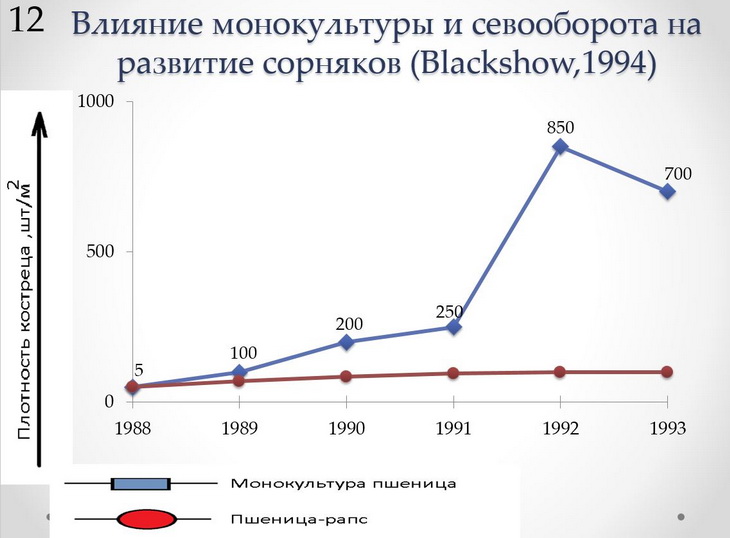 влияние монокультуры на развитие сорняков