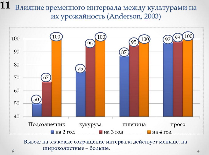 интервал между культурами в севообороте