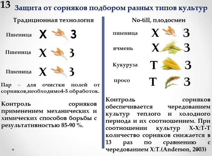 защита от сорняков подбором разных типов культур