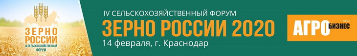 зерно россии