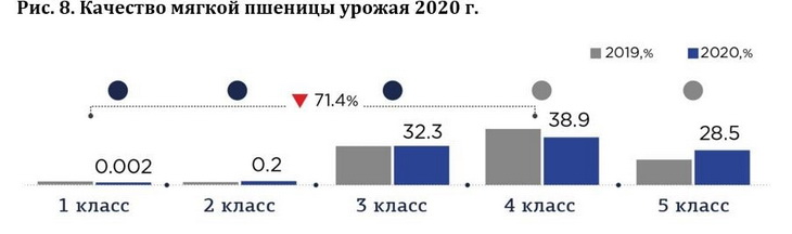 основные посевные площади зерновых культур