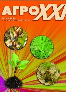ВЫПУСК № 04 - 06 за 2006 г.